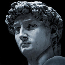 Load image into Gallery viewer, David Pour Homme Eau de Toilette Spray 100ml/3.4oz - Michel Germain Parfums Ltd.