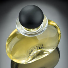 Load image into Gallery viewer, Dark & Mysterious Cologne Duo (Value $124) - Michel Germain Parfums Ltd.