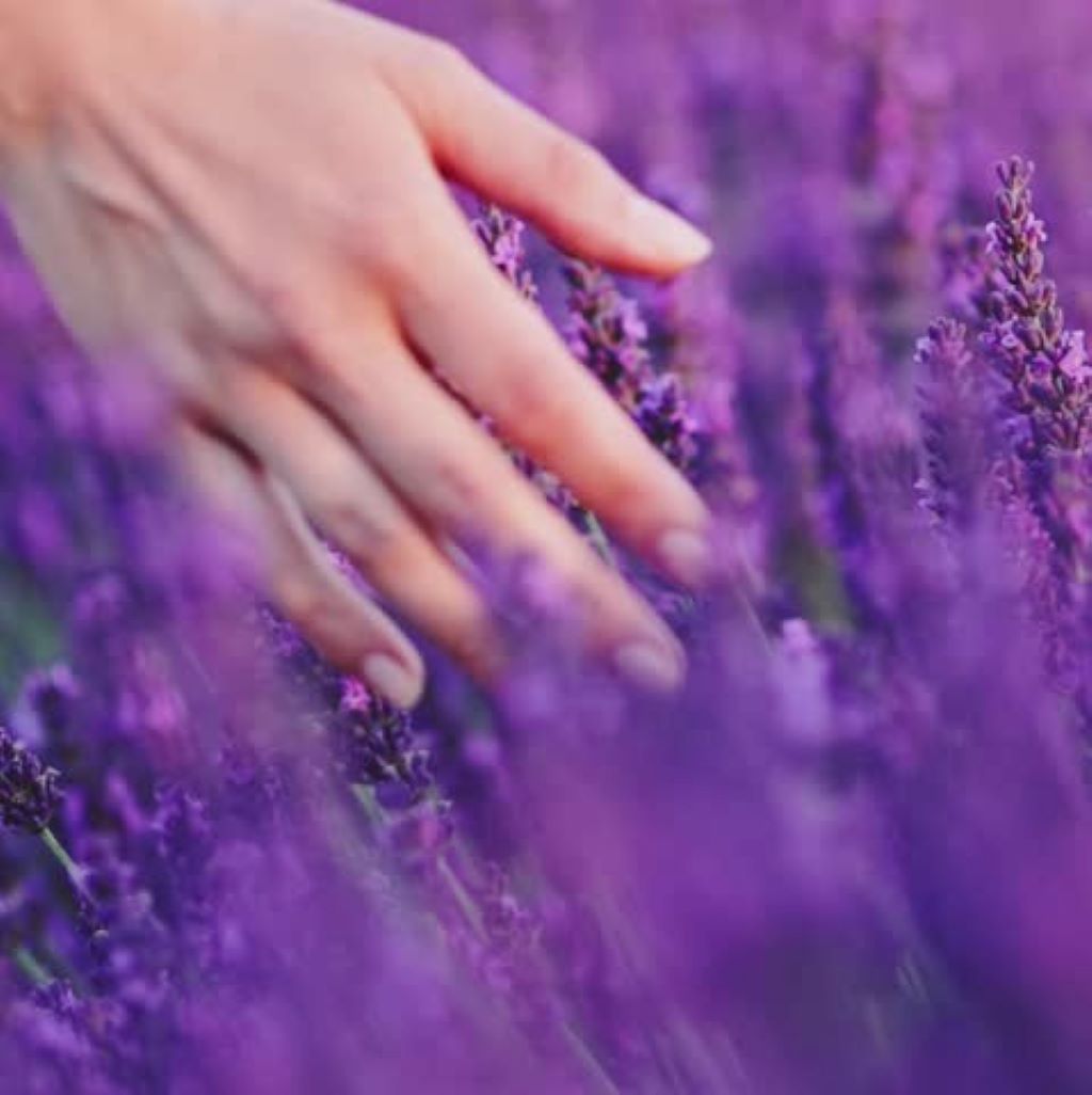 Fragrances Have the Power to Awaken Beautiful Memories - Michel Germain Parfums Ltd.