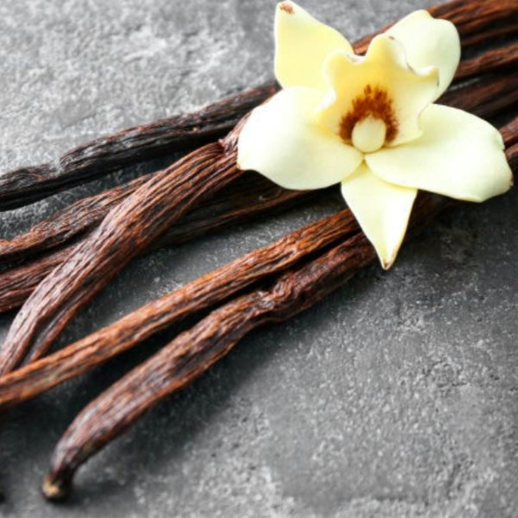 Summer Ingredient Story - Vanilla - Michel Germain Parfums Ltd.