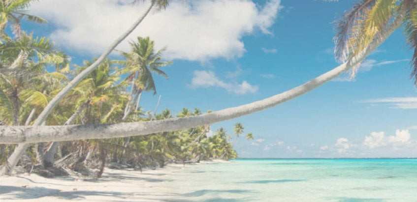 Coastal Escape