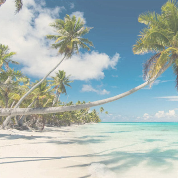 Coastal Escape